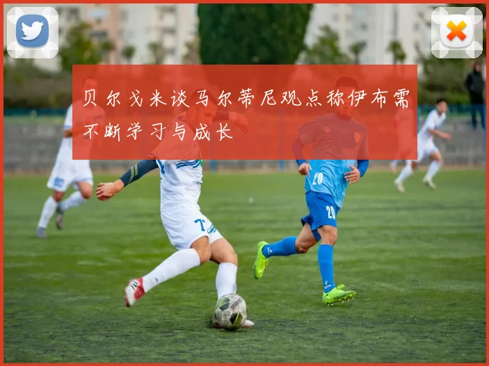 贝尔戈米谈马尔蒂尼观点称伊布需不断学习与成长